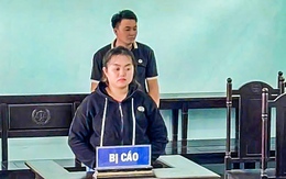 Bảo mẫu đánh túi bụi bé gái ở Đồng Tháp bị phạt 1 năm tù cho hưởng án treo