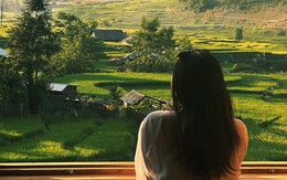 Khung cảnh 'tuyệt đối điện ảnh' mùa lúa xanh ở Sa Pa