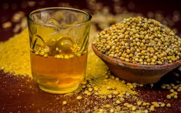 Uống nước hạt ngò trị mụn, sáng da trong 2-3 tuần: Lợi ích có như lời đồn?