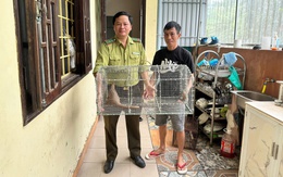 Phát hiện 'khách lạ' lúc nửa đêm, người dân giao nộp tê tê quý hiếm