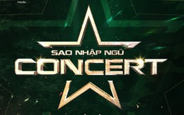 Sau úp mở của Jun Phạm, Sao nhập ngũ xác nhận tổ chức concert