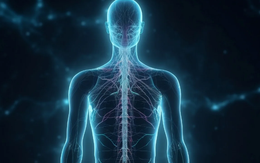 Các nhà khoa học tìm ra giác quan thứ 6 của con người