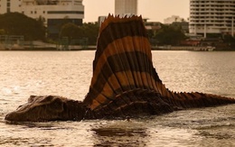 Thái Lan đem khủng long Spinosaurus ra sông Chao Phraya, người dân choáng khi xem loài tiền sử