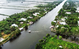 Phố xá, ruộng đồng nào cũng quê hương - Kỳ 3: Gà Bạc Liêu không còn gáy Cà Mau nghe