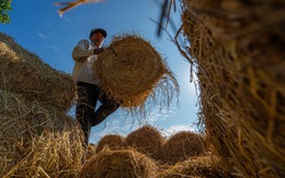 Xem những bức ảnh về xứ dừa Bến Tre tuyệt đẹp của chàng trai Nguyễn Khánh Vũ Khoa