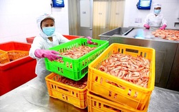 Thuế đối ứng với Mỹ: Kích hoạt đầu tư nhờ ưu đãi hàng Mỹ, hàng xuất khẩu nào hưởng lợi?