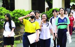 Phân luồng sau cấp II: học sinh bị ép uổng?