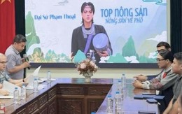 Phạm Thoại làm gì sau lùm xùm đại sứ nông sản?