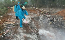 Dịch tả heo châu Phi lan rộng đến 61 xã, phường Thanh Hóa