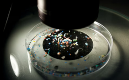 Nghiên cứu gây sốc: Con người hít hơn 70.000 hạt vi nhựa mỗi ngày trong nhà