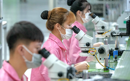 Việt Nam là đối tác tin cậy của EU