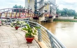 Đóng cống Tha La và Trà Sư để kiểm soát lũ vùng Đồng bằng sông Cửu Long
