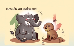 Xưa lên voi xuống chó, nay lên live xuống bãi