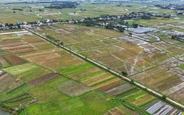 Hàng ngàn tỉ đồng thuế đất mỗi năm tiếp tục được miễn, bà con nông dân yên tâm sản xuất