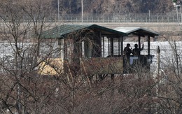 1 công dân Triều Tiên vượt biên được Hàn Quốc dẫn đường trong 20 tiếng