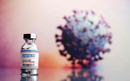 Làm rõ tin đồn COVID-19 do Big Pharma tạo ra và mọi thứ tệ hơn do vắc xin