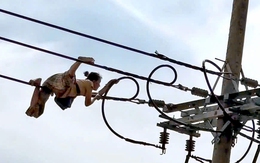 Người phụ nữ có biểu hiện bất thường 'diễn xiếc' trên dây điện ở phường Tây Nam, TP.HCM