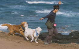 Bình Bông Bụp cùng hai 'bạn' chó rong ruổi khắp Việt Nam  cảnh đẹp quên lối về