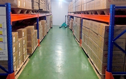 Pallet từ phế phẩm nông nghiệp vào chuỗi cung ứng toàn cầu