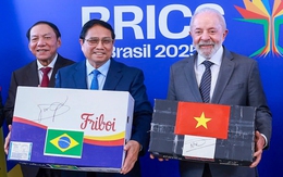 Việt Nam xuất khẩu cá tra, ba sa và rô phi sang Brazil, hướng tới thương hiệu cà phê chung