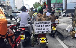 Ảnh vui 7-7: Lời tuyên ngôn của một thành viên 'hội yêu động vật'