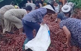 Những vụ 'hôi của' gây chấn động cõi mạng