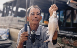 Cần thủ vào mùa săn cá cóc trên sông Hậu, tỉnh An Giang