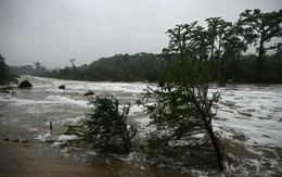 Video giả ồ ạt xuất hiện sau trận lũ thảm khốc ở Texas