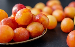 Gương phấn đấu của mận cơm, mận hậu