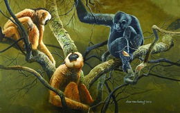 Họa sĩ Đào Văn Hoàng: Vào trong hoang dã, vẽ để kể về sự sống và mất mát