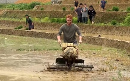 Du khách Tây cười khoái chí khi trải nghiệm lái máy cày