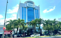 Vì sao giám đốc và phó giám đốc BIDV chi nhánh Kiên Giang bị sa thải và giáng chức?