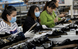 Việt Nam vươn thành đối tác hàng đầu của EU sau 5 năm ký EVFTA