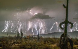 Tia sét dài nhất thế giới: 829km