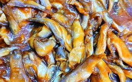 Chuyện một họ làm mắm ở xứ Châu Đốc