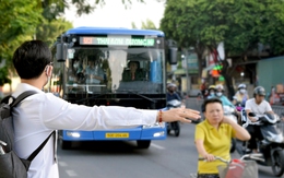 Lộ trình 37 tuyến buýt mới ở TP.HCM có nhiều thay đổi