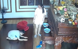 Cậu bé liên tục chắp tay xin lỗi các cụ khi làm đổ ly rượu trên bàn thờ