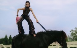 Top 15 Vietnam’s Next Top Model tạo dáng bên ngựa, giám khảo nói 'phải điên điên' mới thú vị