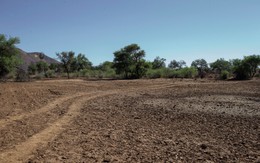 Biến đổi khí hậu làm GDP giảm 62% trong tương lai?