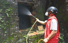 Việt Nam ứng phó với nguy cơ bệnh Chikungunya