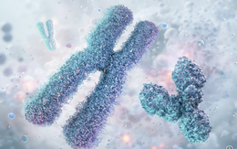 Nhóm nghiên cứu Trung Quốc tạo công cụ chỉnh sửa chính xác hàng triệu đoạn ADN