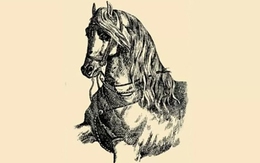 Thử tài tinh mắt: Ông chủ của con ngựa ở đâu?