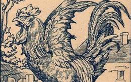 Thử tài tinh mắt: Cô chủ của con gà trống ở đâu?