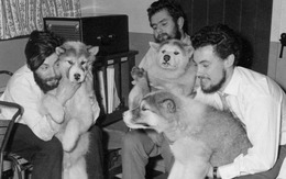 Tìm thấy thi thể nhà nghiên cứu Anh mất tích ở Nam Cực sau 66 năm