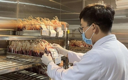 Máu hiến sụt giảm, người bệnh chờ máu