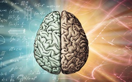 Khoa học tìm ra cách đảo ngược chứng mất trí nhớ