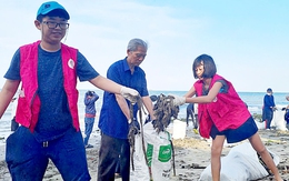 Tại sao phải nhặt rác?