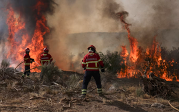 Mùa cháy rừng khốc liệt nhất lịch sử ở châu Âu, nhiệt độ gần 40 độ