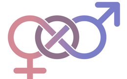 Liên giới tính là gì, khác đồng tính và chuyển giới thế nào?