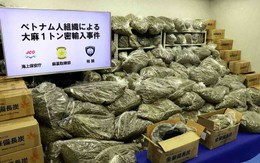 Ba người Việt tàng trữ hơn 1 tấn cần sa bị bắt ở Nhật, Bộ Ngoại giao nói gì?